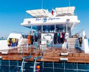 Red Sea Explorer